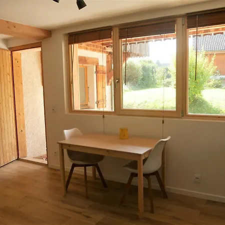 Studio 2 Personnes - Lumineux - D'annecy