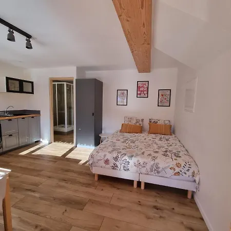 Studio 2 Personnes - Lumineux - D'annecy Apartment