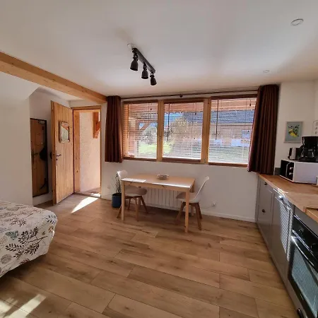 Studio 2 Personnes - Lumineux - D'annecy * Lathuile